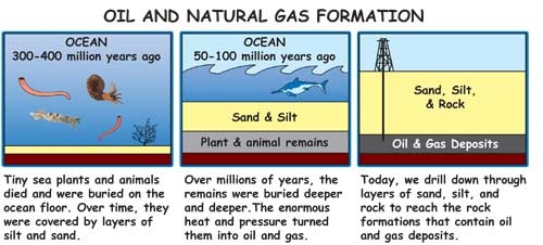 How Oil Is Formed 