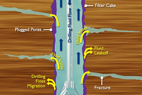 Completion and Workover Fluids: Essential Elements for the Success of Oil and Gas Wells